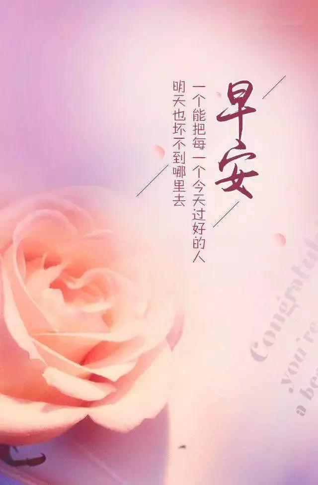 十字路口易迷失，误入歧途无所得打一个准确生肖仔细释义、解释与落实、全面解答解释落实